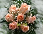 Pink Rose Bouquet