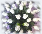  White Rose Bouquet