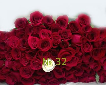 Bouquet 32